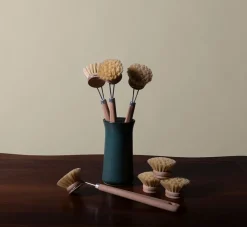 Pierce & Ward DISH BRUSH REPLACEMENT HEAD | Kitchen