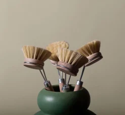 Pierce & Ward DISH BRUSH WITH BEECHWOOD HANDLE | Kitchen