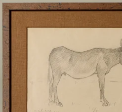 Pierce & Ward 1930S FRENCH PENCIL DRAWING OF A DONKEY | Art
